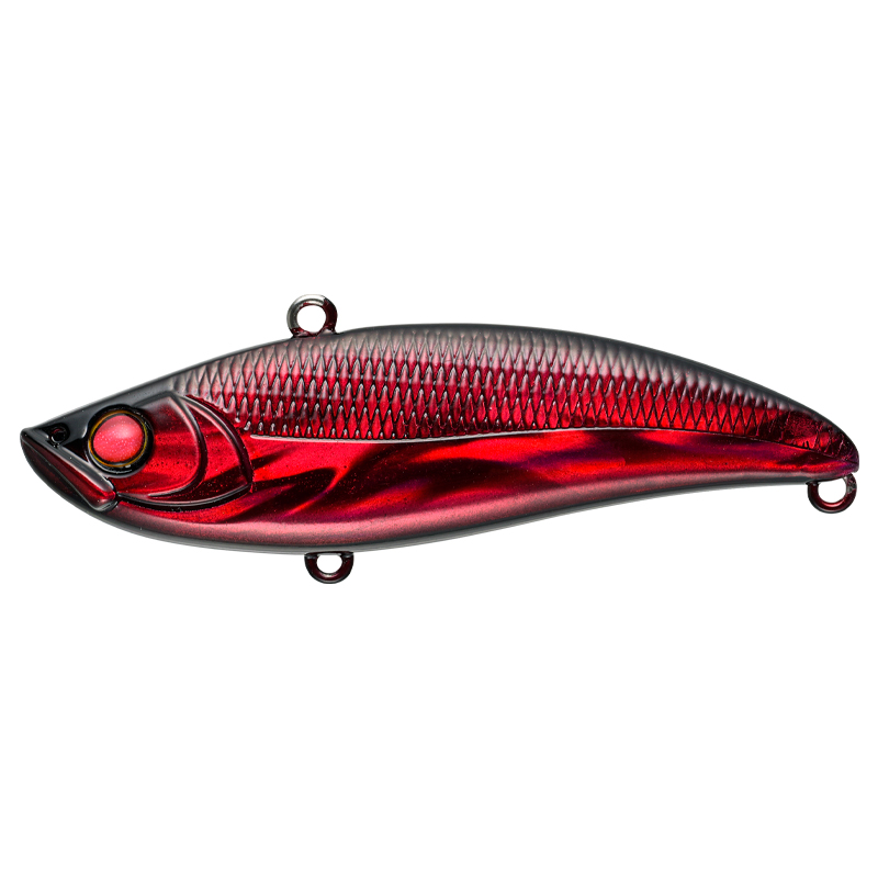 APIA WEB SHOP | APIA web magazine SS 熊本シーバス