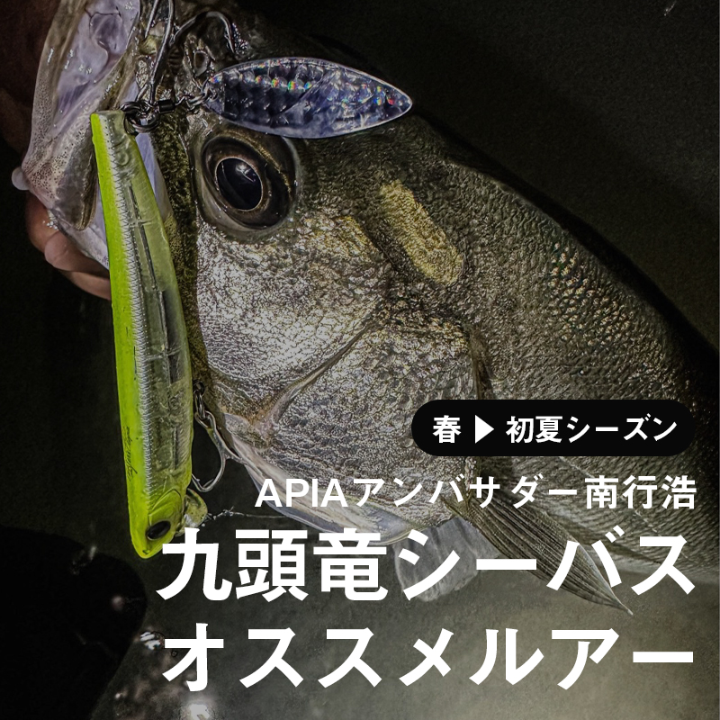 ��Ƭε����Х���������륢��