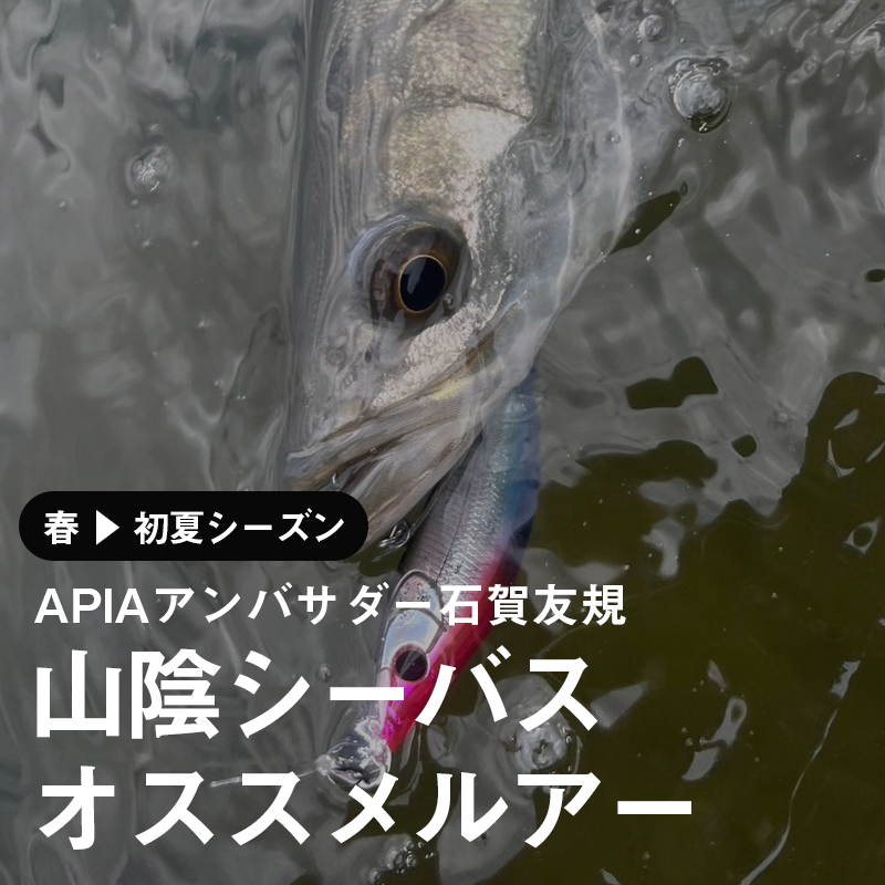 ���������Х���������륢��